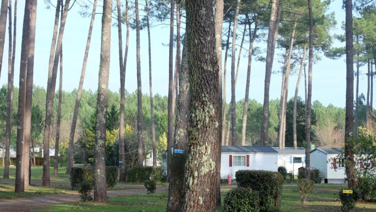 Mobil Home Rainbow, Camping Les Dunes De Contis Saint-Julien-en-Born Kamer foto